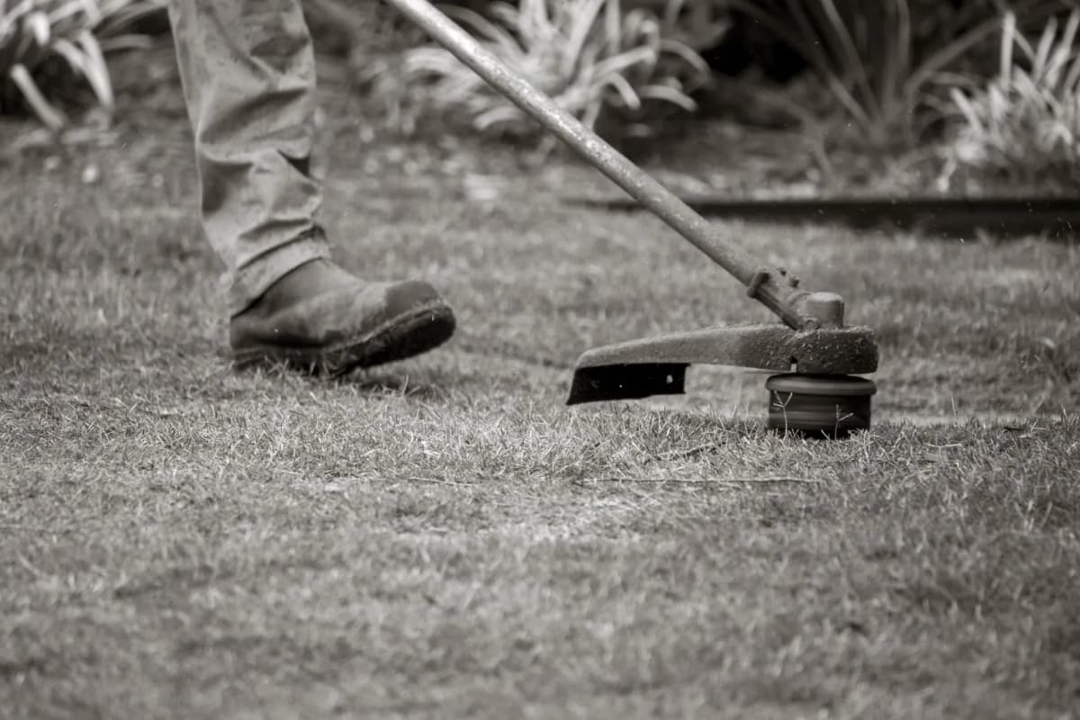 A worker edging a lawn with a string trimmer