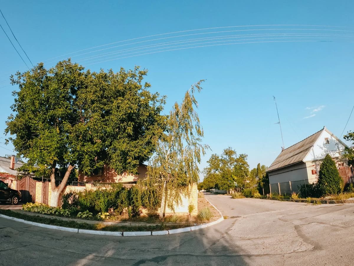 A quiet suburban street corner with trees on a clear day