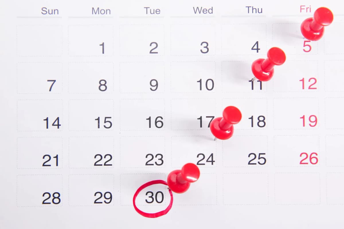 A calendar page with dates marked by red pins
