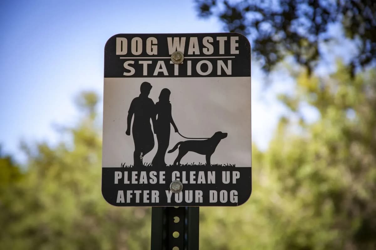 A dog waste station sign asking owners to clean up after their dogs