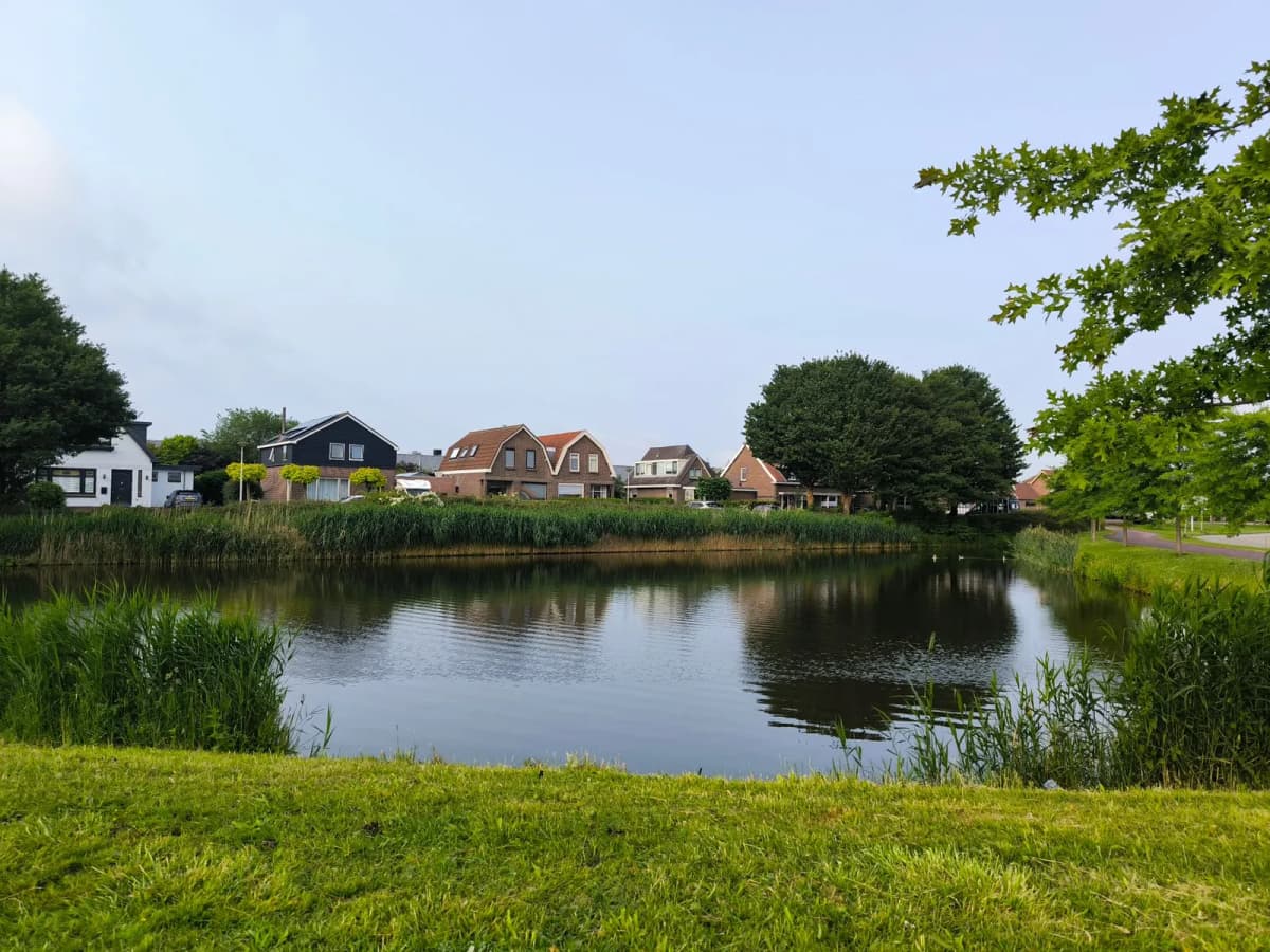 Suburban homes around a neighborhood pond