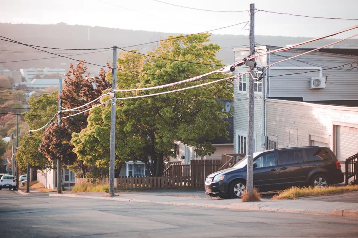 Cars parked along a tree-lined suburban street of houses