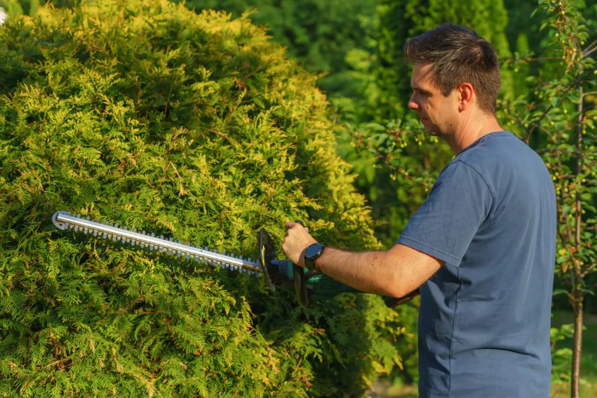 A gardener trimming a hedge with an electric trimmer
