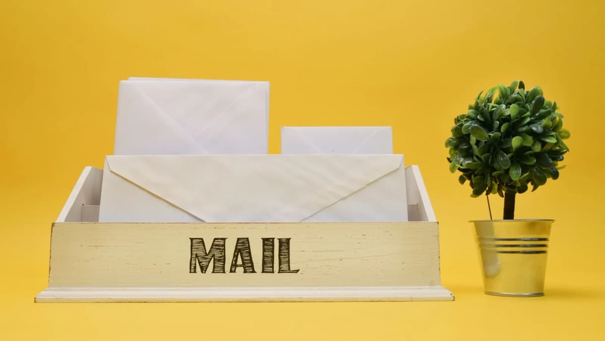 White envelopes sorted upright in a mail organizer